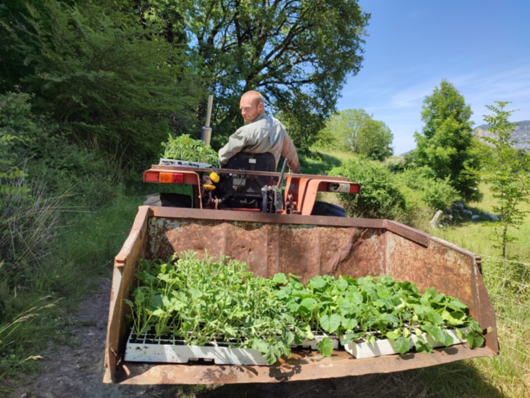 GAEC des VINCES Maraîchage Légumes Bio